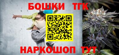 индика Татарск