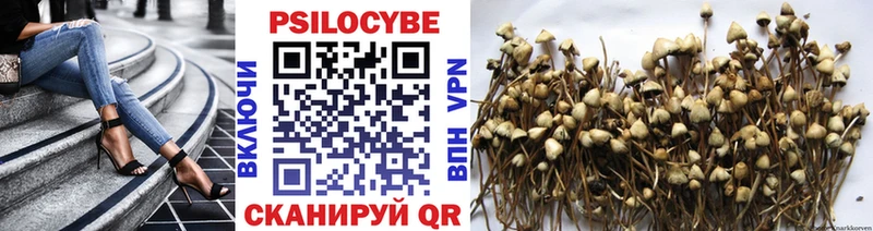 Псилоцибиновые грибы Cubensis  Осинники 